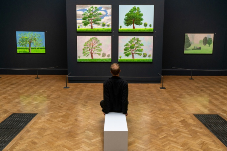 Exposition d'oeuvres de David Hockney à la Royal Academy de Londres le 18 mai 2021 ( AFP / Niklas HALLE'N )