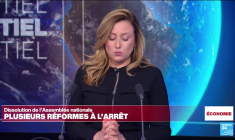 Après les élections européennes, le CAC 40 recule et l'Euro chute