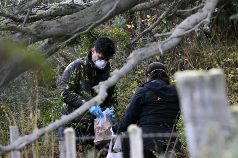 Des scientifiques de l'Institut Malbran, des représentants du ministère de la Santé de la province de Terre de Feu et des membres de l'Administration des parcs nationaux récupèrent des souris piégées, près d'Ushuaia, en Argentine, le 18 mai 2026 ( AFP / JUAN MABROMATA )