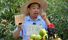 Un participant à un camp pratique de livestream pour les "néo-paysans" fait une présentation commerciale dans un verger à Yantai, dans la province orientale du Shandong, le 26 juin 2025 en Chine ( AFP / Adek BERRY )