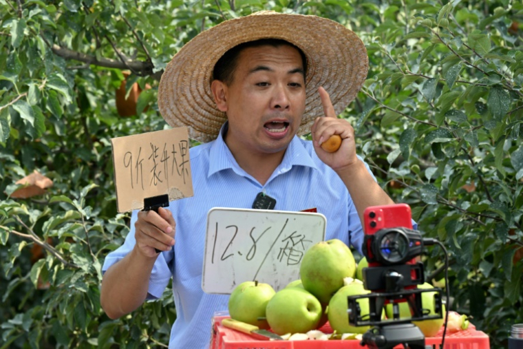 Un participant à un camp pratique de livestream pour les "néo-paysans" fait une présentation commerciale dans un verger à Yantai, dans la province orientale du Shandong, le 26 juin 2025 en Chine ( AFP / Adek BERRY )