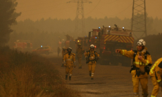 Des pompiers mobilisés sur un feu à Marcheprime, à l'ouest de Bordeaux, le 26 juillet 2026 ( AFP / Alain JOCARD )