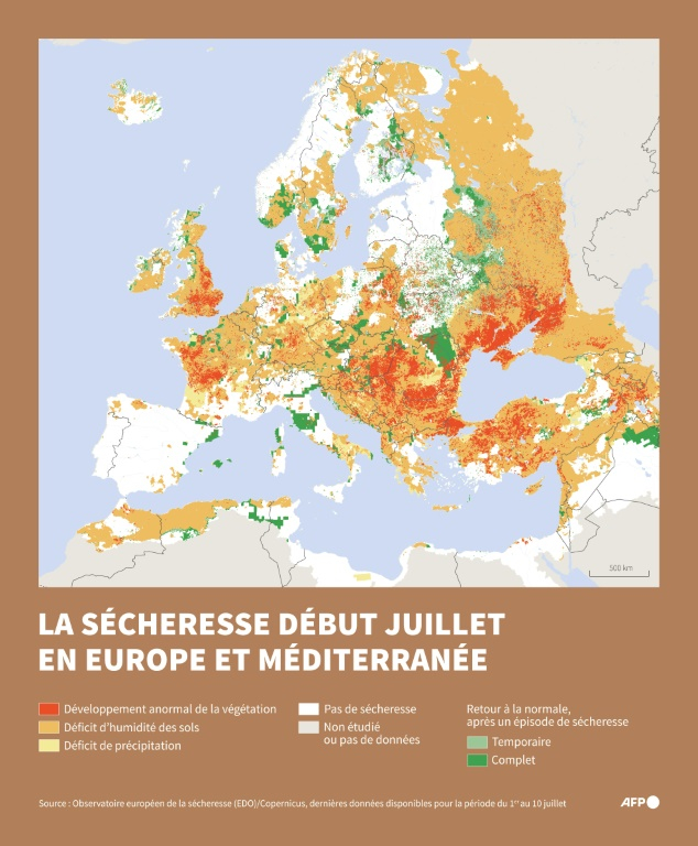 La sécheresse en Europe et Méditerranée début juillet 2025 ( AFP / Nalini LEPETIT-CHELLA )