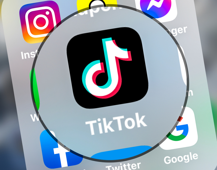 Tiktok a annoncé créer ce mécannisme afin que les créateurs se sentent valorisés et récompensés. ( AFP / DENIS CHARLET )