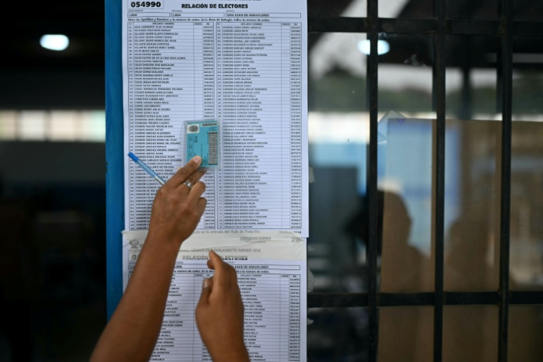 Des électeurs consultent les listes électorales pour connaître leur bureau de vote lors des élections présidentielle et législatives au Pérou, le 13 avril 2026, dans une école de Lima ( AFP / Ernesto Benavides )