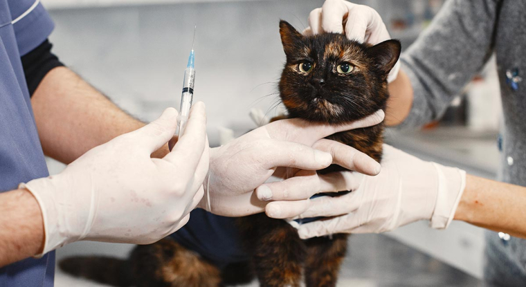 Le titre a perdu 9% le 4 juillet. (Pexels/Gustavo Fring)