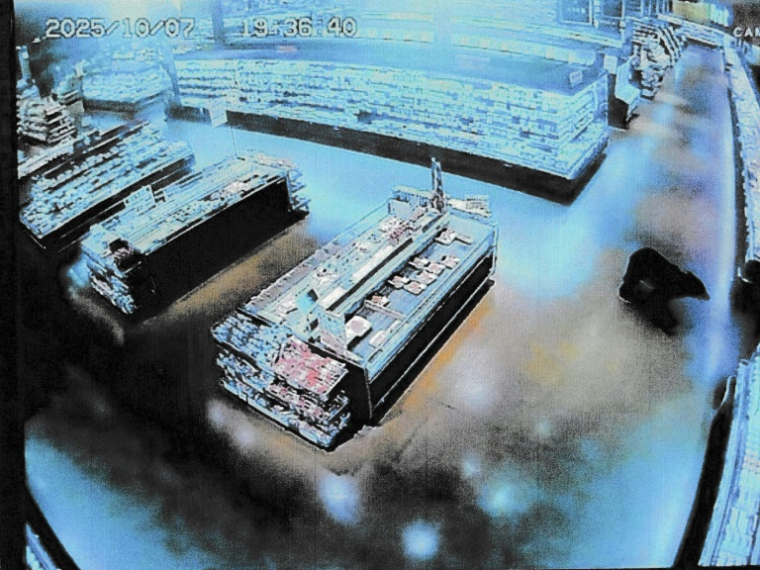 Image d'une caméra de vidéosurveillance publiée par la police préfectorale de Gunma, le 7 octobre 2025, montrant un ours dans un supermarché de Numata, au Japon ( GUNMA PREFECTURAL POLICE VIA JIJI PRESS / STR )