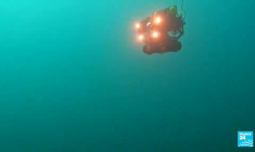 Filets perdus : les fantômes des océans