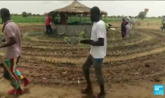 Journée de la Terre : une grande muraille verte pour lutter contre la désertification en Afrique