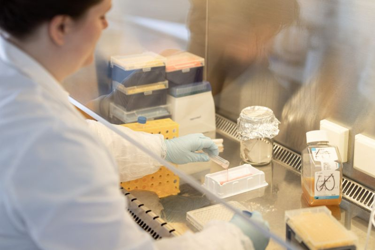 CORONAVIRUS: MERCK RENONCE À SES VACCINS, PAS ASSEZ EFFICACES