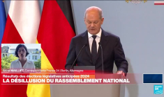 Législatives 2024 : les réactions en Allemagne après la défaite de l'extrême droite en France