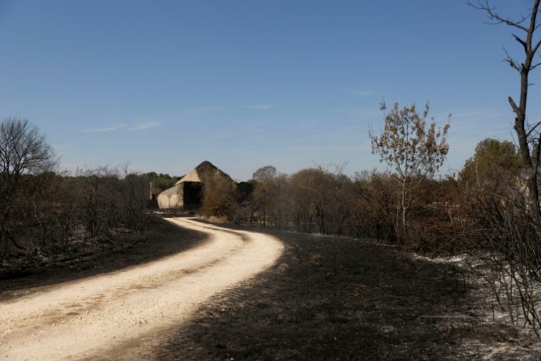 Une ferme partiellement détruite par un incendie, à Saint-Michel-en-Brenne, le 10 juillet 2026 ( AFP / Alain JOCARD )