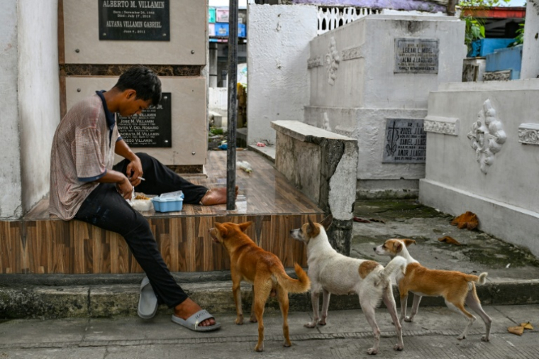 Des chiens sont rassemblés autour d'un homme qui mange dans le cimetière Nord de Manille le 24 octobre 2025 ( AFP / Jam STA ROSA )