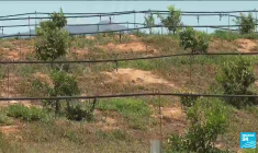 France : le préfet de Haute-Corse alerte la population sur le risque de pénurie d’eau