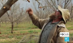 Afrique du Sud : Orania, entre nostalgie de l'apartheid et peur du présent