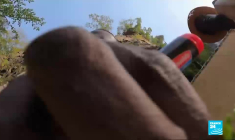 Sénégal : à la recherche de plantes inconnues