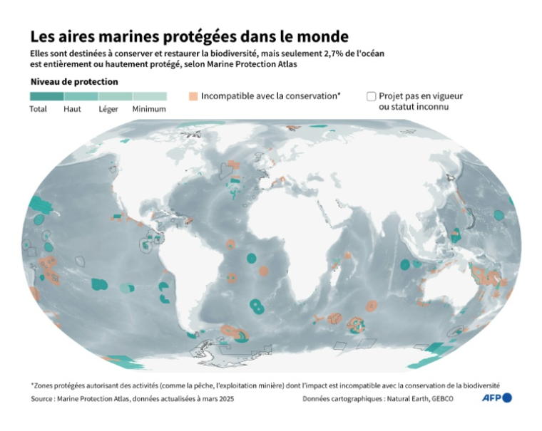 Infographie avec une carte du monde montrant les aires marines protégées par niveau de protection, selon les données de Marine Protection Atlas ( AFP / Ioana PLESEA )