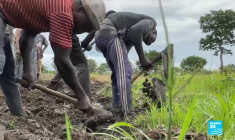 Le chanteur Akon lance 'Akon City', une ville verte et autonome au Sénégal