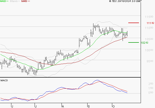 BIOMERIEUX : Une consolidation vers les supports est probable