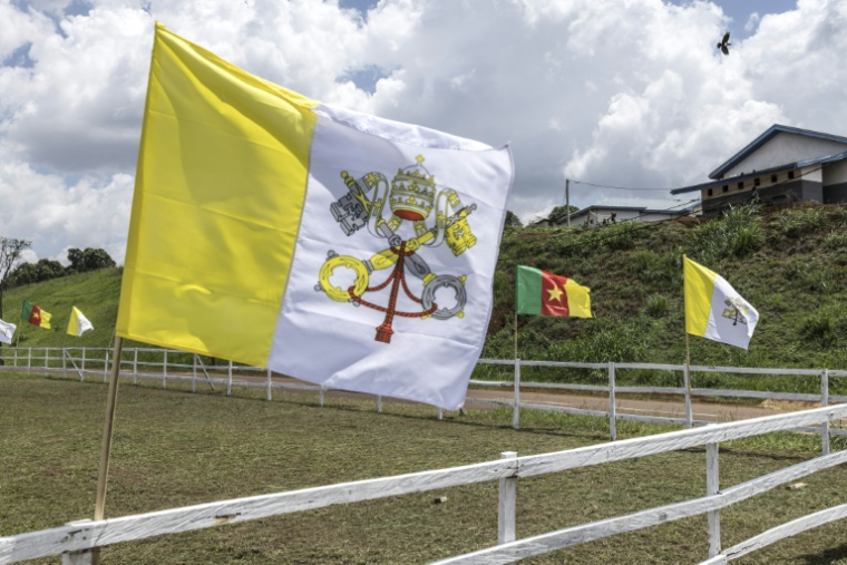 Vue d'ensemble des drapeaux du Cameroun et du Vatican à l'aéroport de Bamenda, le 14 avril 2026, à la veille de la visite du pape Léon XIV au Cameroun ( AFP / PATRICK MEINHARDT )