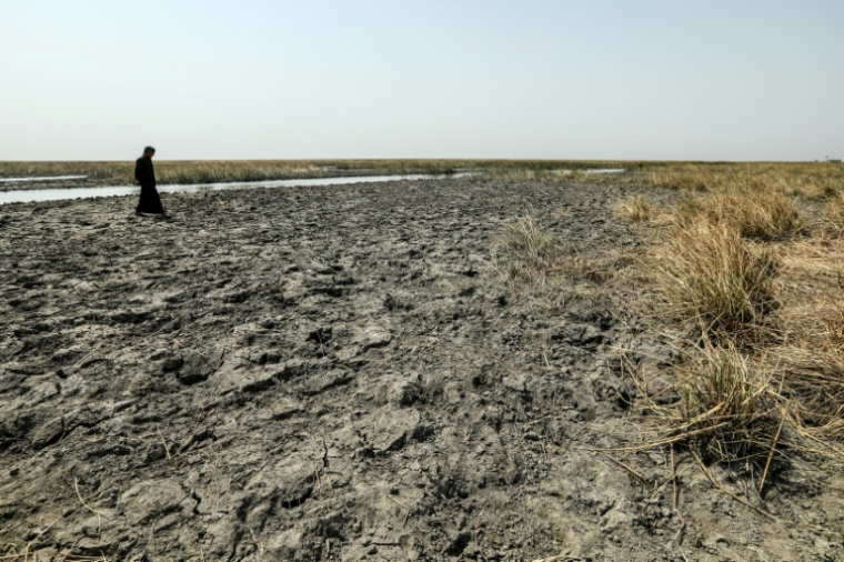 Un fermier marche sur des zones sèches exposées par le retrait des eaux dans les marais de Chibayish, frappés par la sécheresse, dans le sud de l'Irak, le 19 août 2025 ( AFP / Asaad NIAZI )