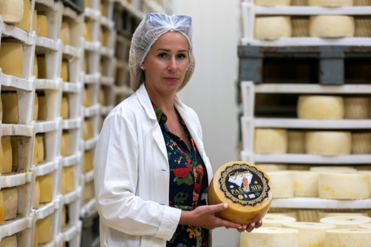 Ruzica Gligora, directrice de la fromagerie "Sirana Gligora", montre une meule de fromage de Pag à Kolan, sur l'île de Pag, le 11 juin 2025 en Croatie ( AFP / DAMIR SENCAR )