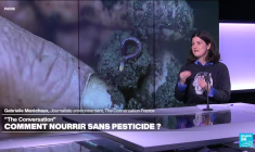 L’agriculture sans pesticides : préserver "tous les maillons de la chaîne alimentaire jusqu’à nous"