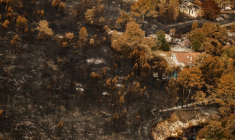 Une photo aérienne de la commune du Porge, le 31 juillet 2026. ( POOL / SARAH MEYSSONNIER )