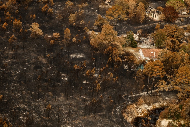 Une photo aérienne de la commune du Porge, le 31 juillet 2026. ( POOL / SARAH MEYSSONNIER )