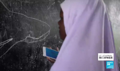 Requins baleines en Tanzanie : les eaux chaudes locales font le bonheur des mammifères