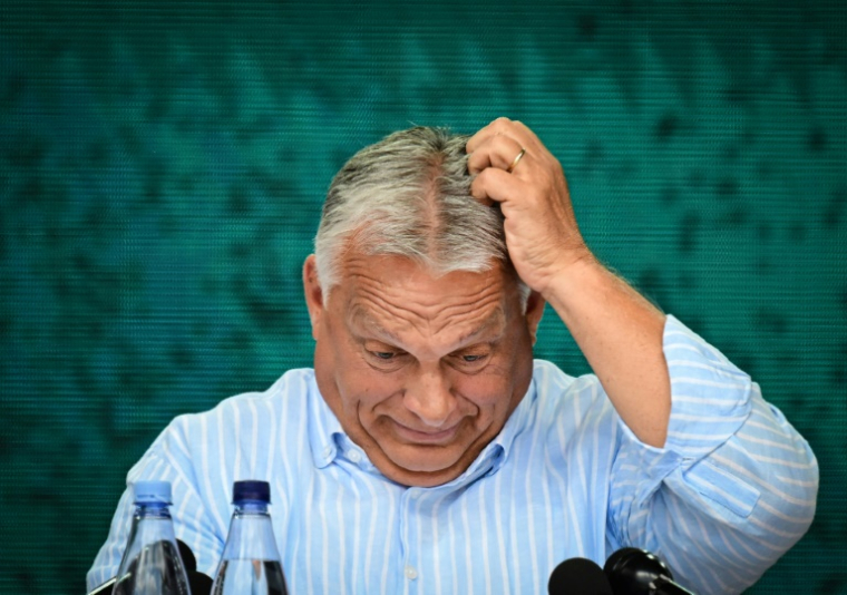 Le Premier ministre Viktor Orban lors de l'université d'été de Baile Tusnad, en Transylvanie roumaine, le 27 juillet 2024 ( AFP / Daniel MIHAILESCU )