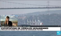 Exportations de céréales ukrainiennes : Erdogan en Russie pour tenter de convaincre Poutine