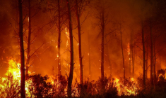 L'incendie en Gironde a déjà parcouru 42.000 hectares, soit 4 fois la superficie de Paris (illustration) ( AFP / ROMAIN PERROCHEAU )