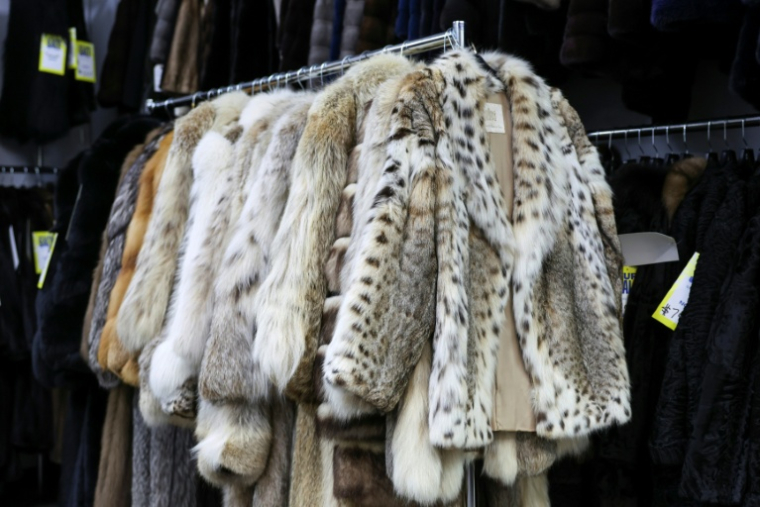 Des manteaux de fourrure proposés à la vente dans le magasin Madison Avenue Furs à New York, le 10 mars 2026 ( AFP / ANGELA WEISS )