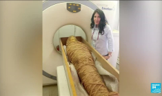 Egypte : les secrets d'une momie royale dévoilés grâce à l'imagerie médicale