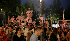 Des manifestants brandissent des flamands roses en carton lors d'un cortège à Tirana, en Albanie, le 19 juin 2026 ( AFP / Adnan Beci )