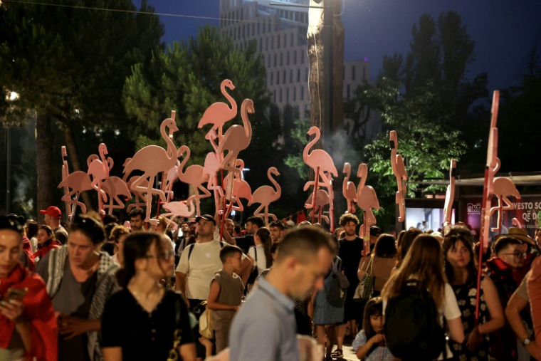 Des manifestants brandissent des flamands roses en carton lors d'un cortège à Tirana, en Albanie, le 19 juin 2026 ( AFP / Adnan Beci )
