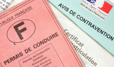 Quelques clics suffisent pour savoir combien il vous reste de points sur votre permis de conduire (Crédits photo : Adobe Stock -  )