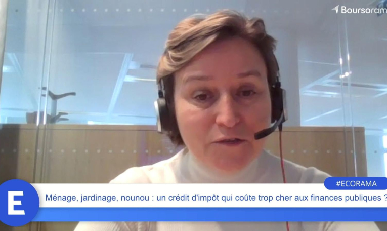Ménage, jardinage, nounou : un crédit d'impôt qui coûte trop cher aux finances publiques ?