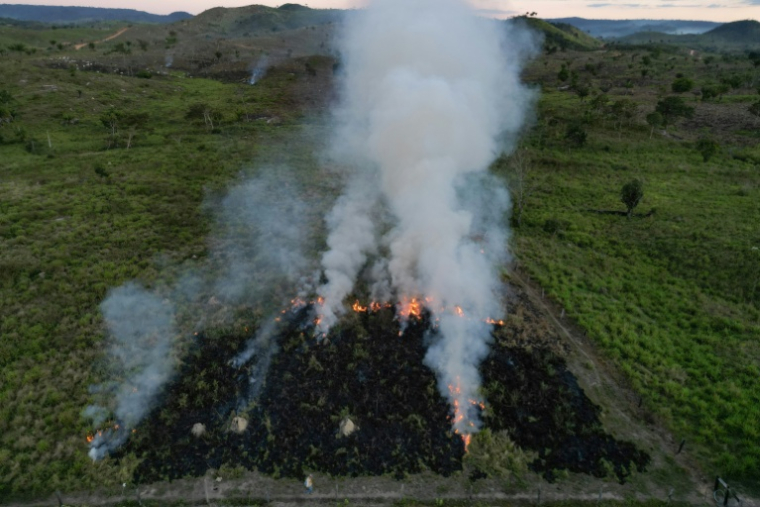 Une terre agricole en feu à Sao Felix do Xingu, en Amazonie brésilienne, le 20 juin 2025 ( AFP / Nelson ALMEIDA )