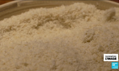 Derrière l'Image : Epiphanie