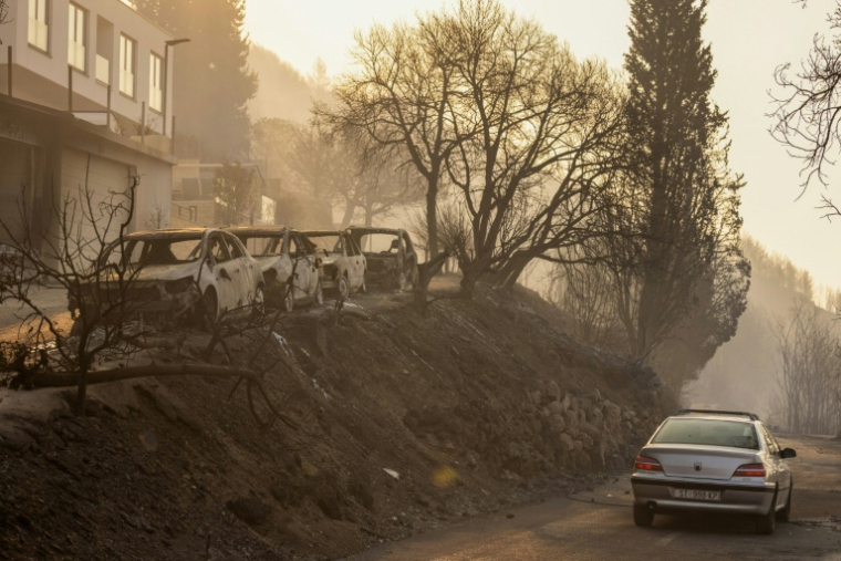 Des véhicules calcinés après un incendie de forêt près d'Omis, le 14 août 2026 en Croatie ( AFP / MIROSLAV LELAS )