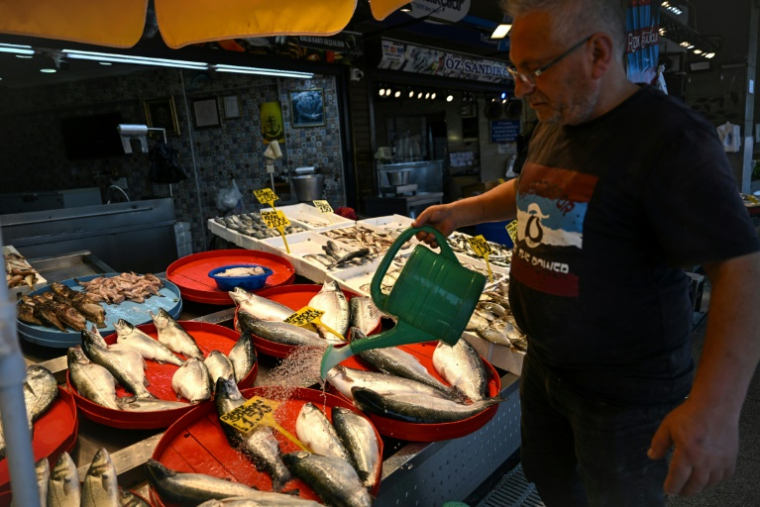 Des saumons en vente sur un marché à Trabazon, le 11 juin 2025 en Turquie ( AFP / Ozan KOSE )