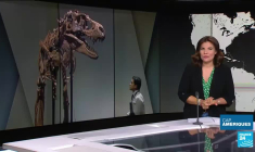 Fusillade de Highland Park: le débat sur les armes relancé aux États-Unis