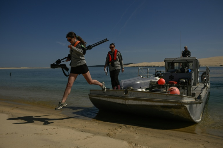 Une équipe de surveillance de l'environnement sur le  banc d'Arguin, îlot "mouvant" de sable près d'Arcachon, en Gironde, le 24 avril 2026 ( AFP / Philippe LOPEZ )