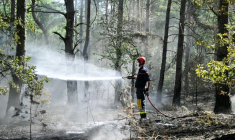 Un pompier arrose les arbres et le sous-bois pendant un incendie dans la forêt de Fontainebleau, à Noisy-sur-École, le 16 juillet 2026 en Seine-et-Marne ( AFP / LOU BENOIST )