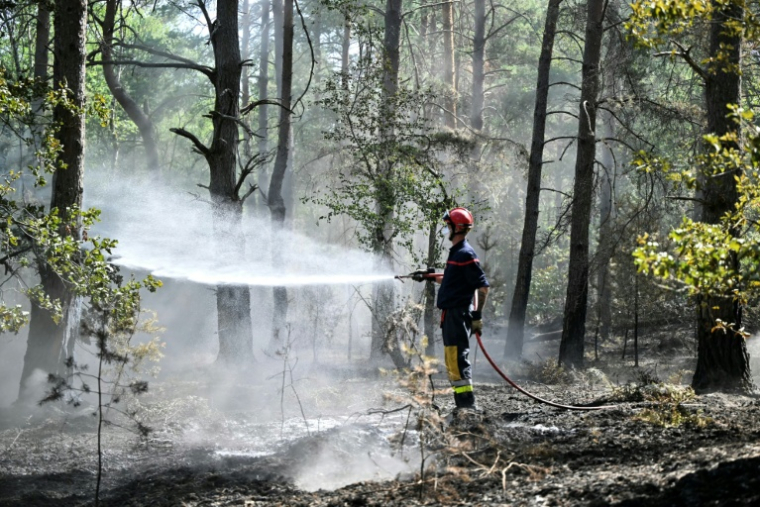 Un pompier arrose les arbres et le sous-bois pendant un incendie dans la forêt de Fontainebleau, à Noisy-sur-École, le 16 juillet 2026 en Seine-et-Marne ( AFP / LOU BENOIST )