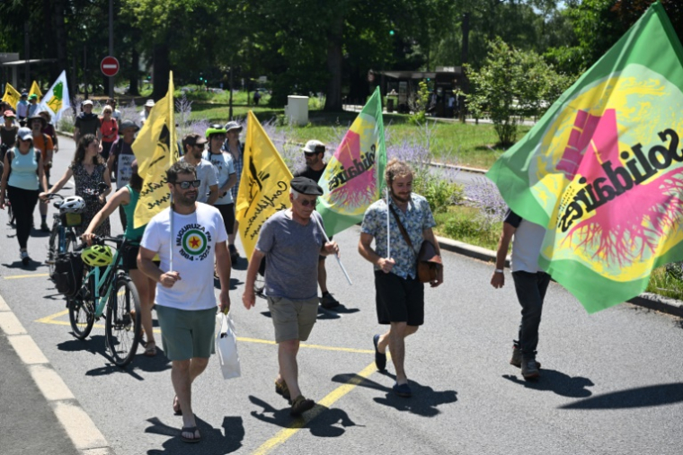 Manifestation contre la loi Duplomb à Pau, dans les Pyrénées-Atlantiques, le 28 juin 2025 ( AFP / Gaizka IROZ )