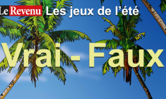 Découvrez un nouveau «vrai-faux» du Revenu. (© DR)