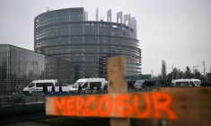 Le mot "MERCOSUR" est écrit sur une croix en bois lors de manifestations devant le Parlement européen à Strasbourg, le 20 janvier 2026 ( AFP / NICOLAS TUCAT )